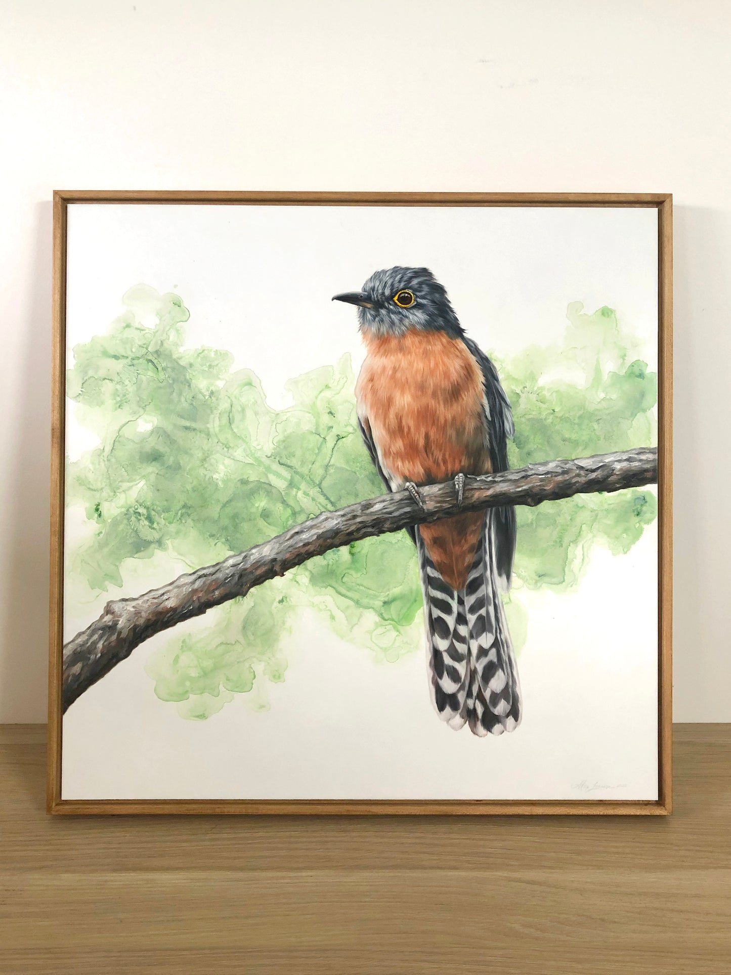 Fan-tailed Cuckoo - 25 x 25"