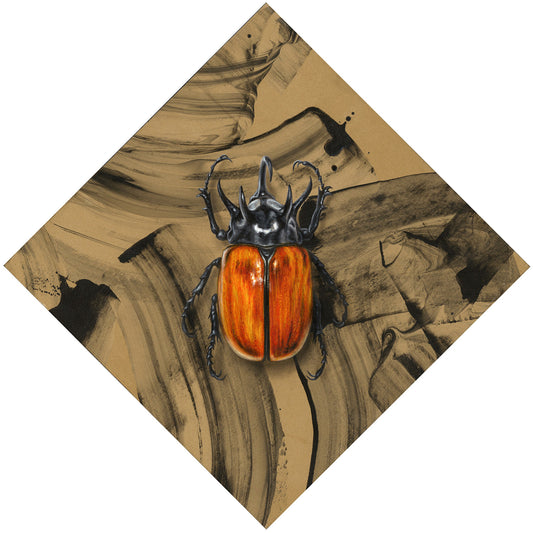 Five-horned Rhinoceros Beetle - 11 x 11"