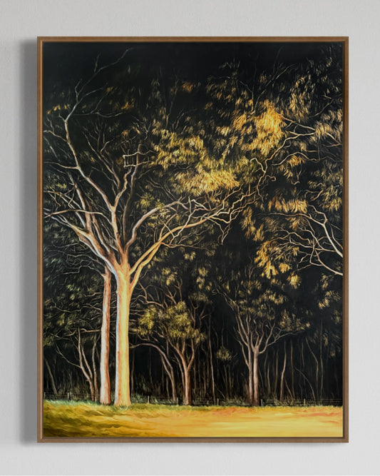Floodlit - 30 x 40"
