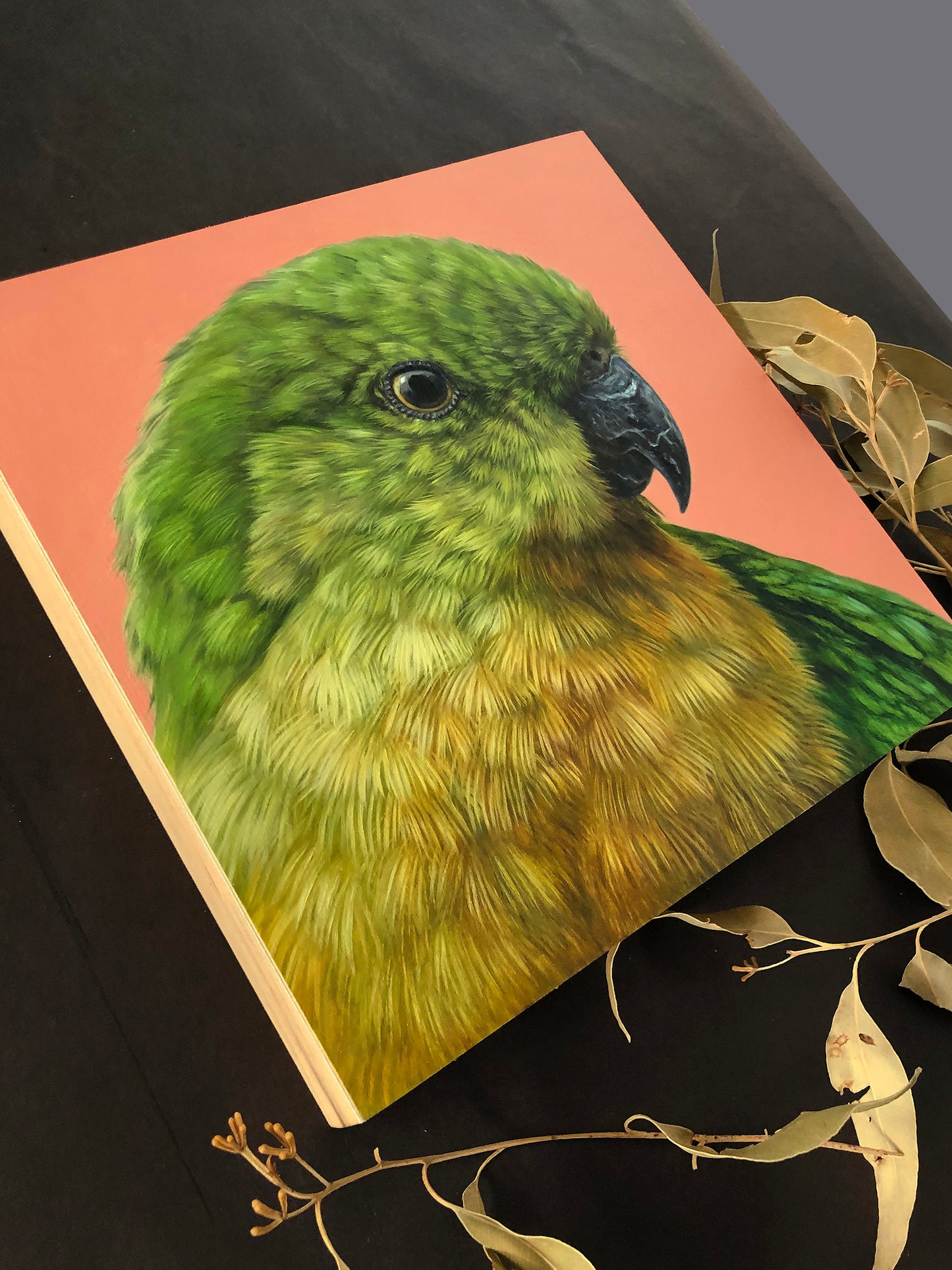 "King Parrot - Female" - 8x8"