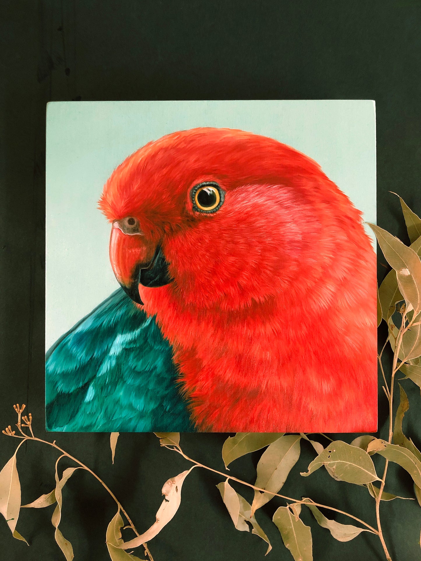 "King Parrot - Male" - 8x8"