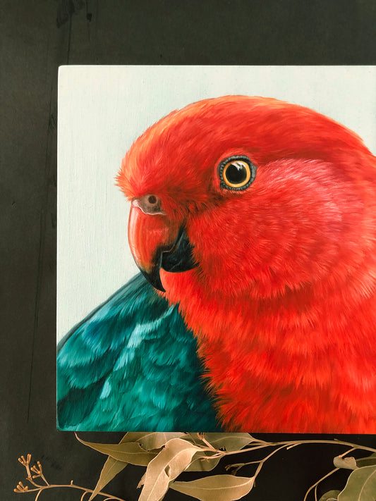"King Parrot - Male" - 8x8"