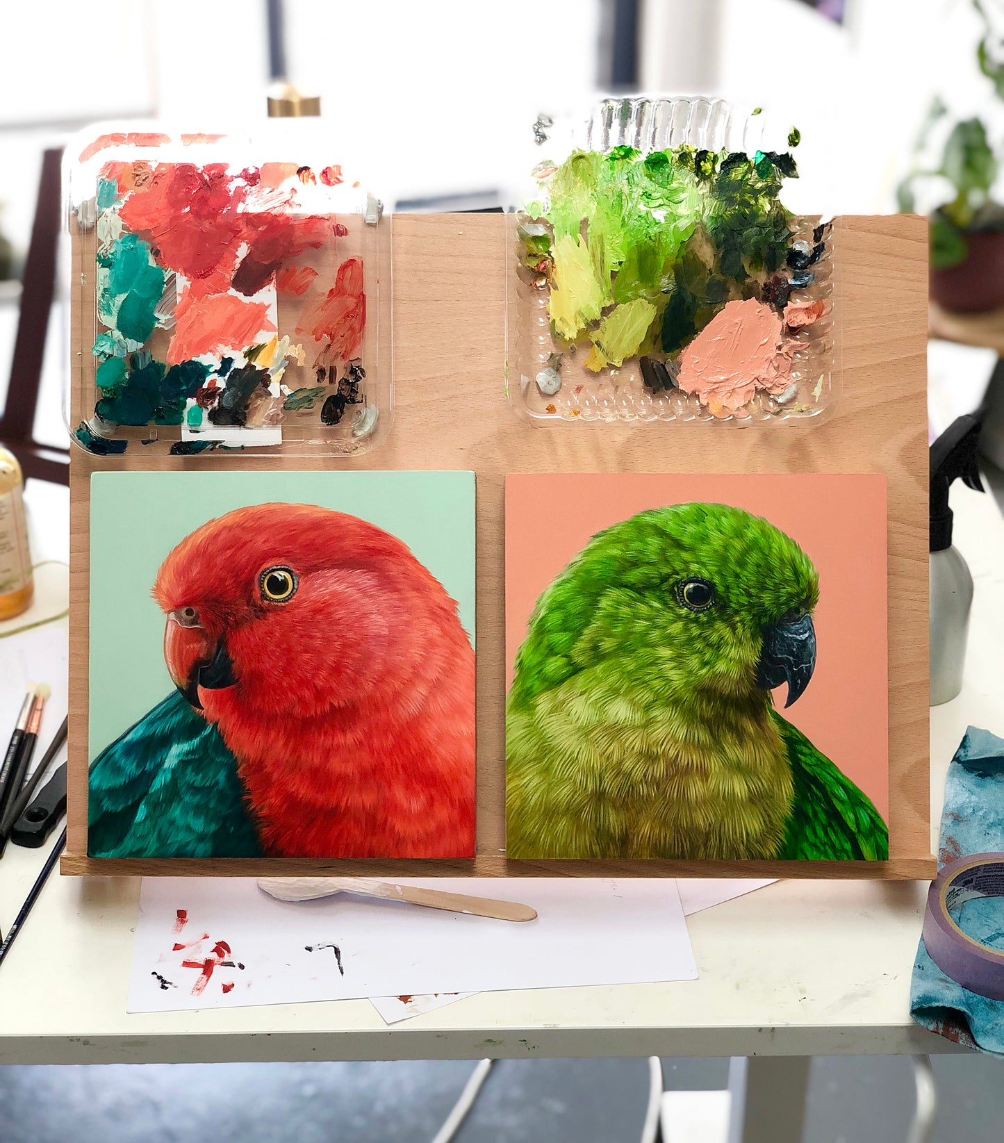 "King Parrot - Female" - 8x8"