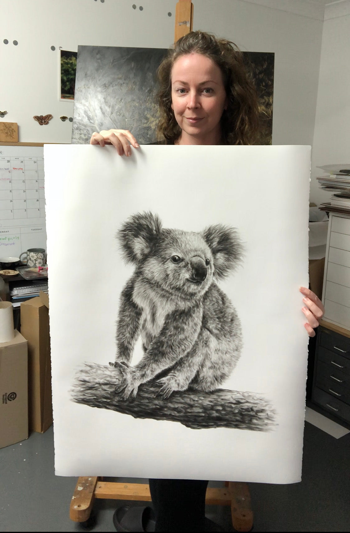 "Young Koala" - 22 x 30"