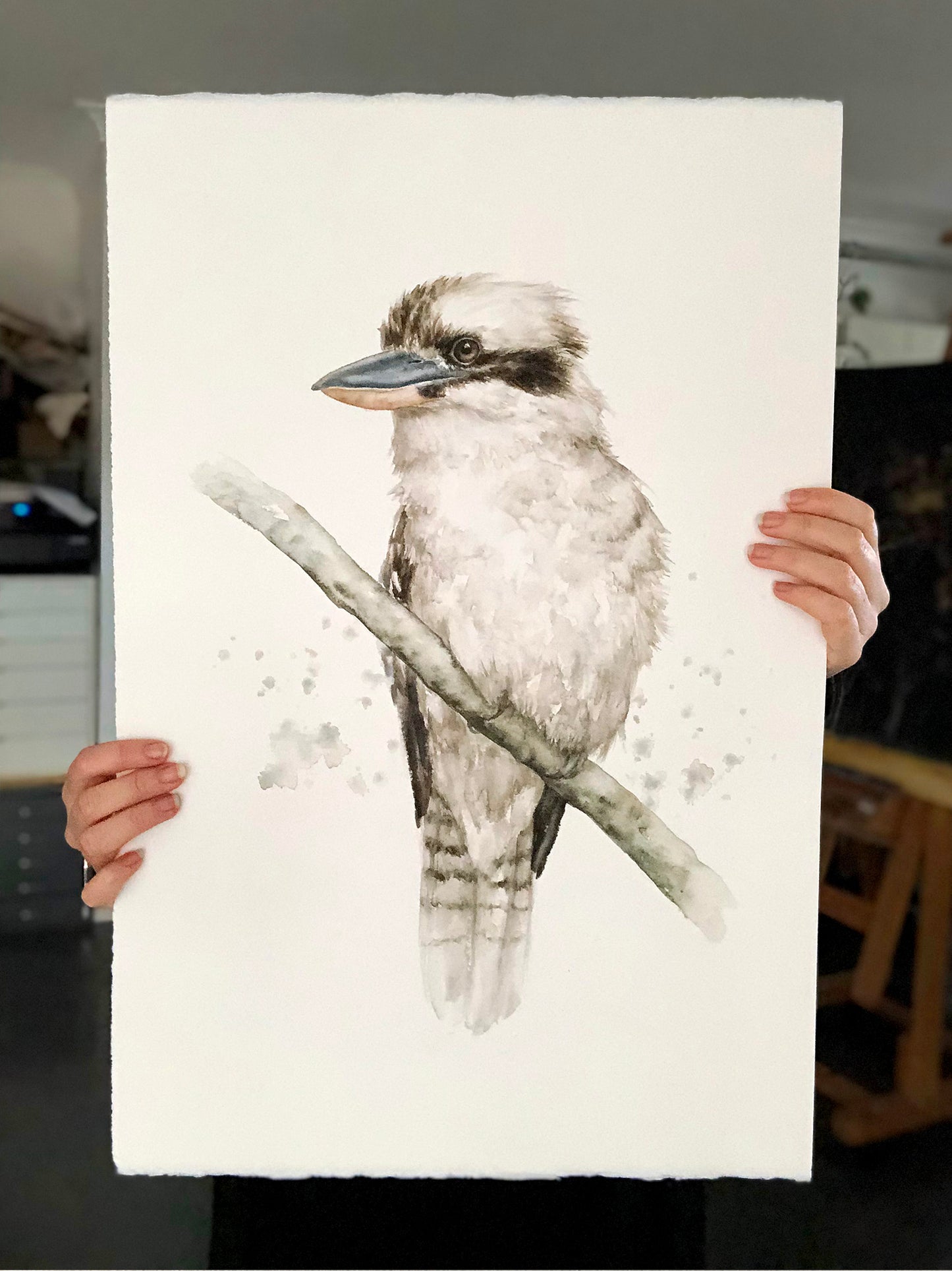 Kookaburra #2 - 15 x 22.5"