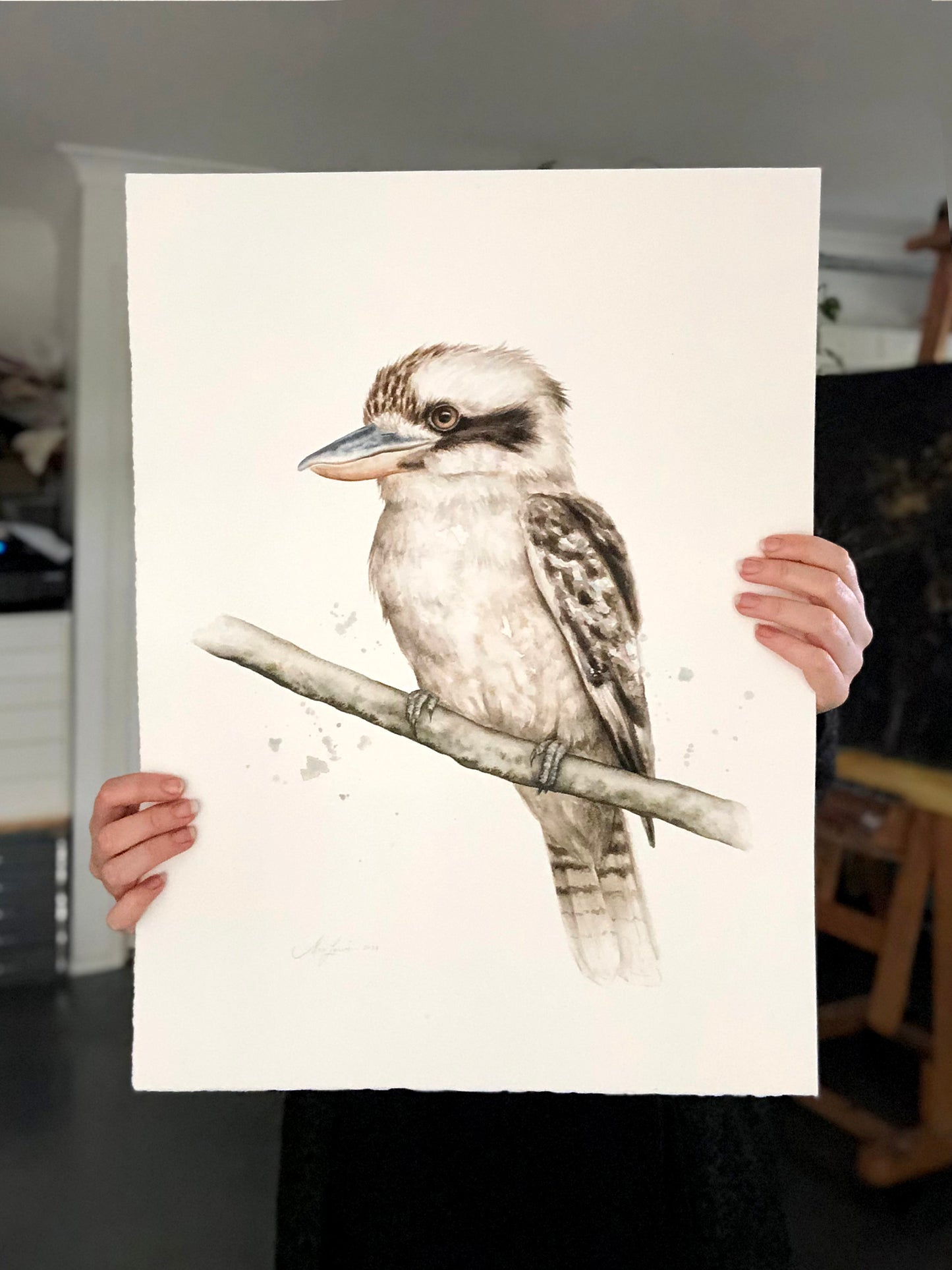 Kookaburra #3 - 15 x 20"