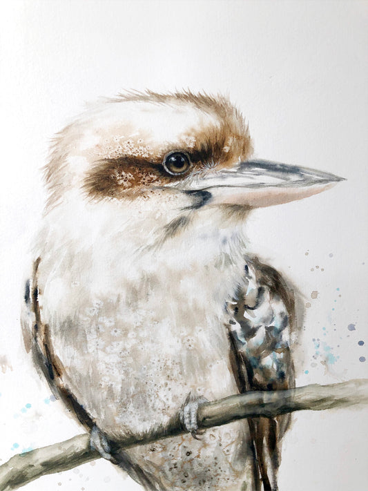 Kookaburra #4 - 15 x 22"