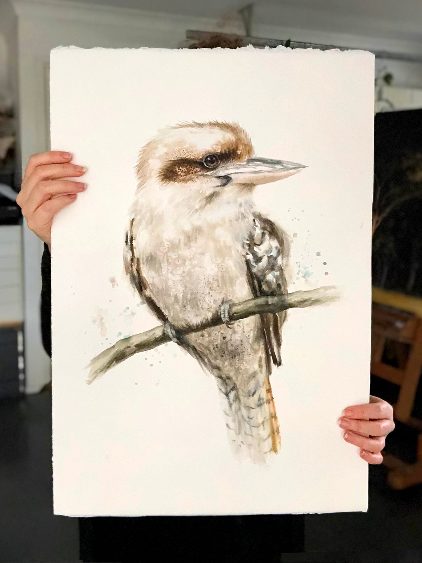 Kookaburra #4 - 15 x 22"