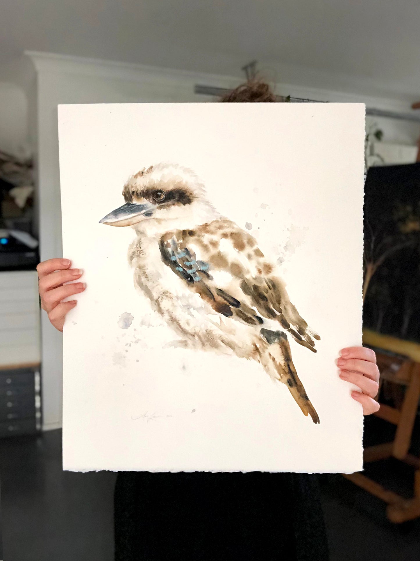 Kookaburra #5 - 15 x 18"