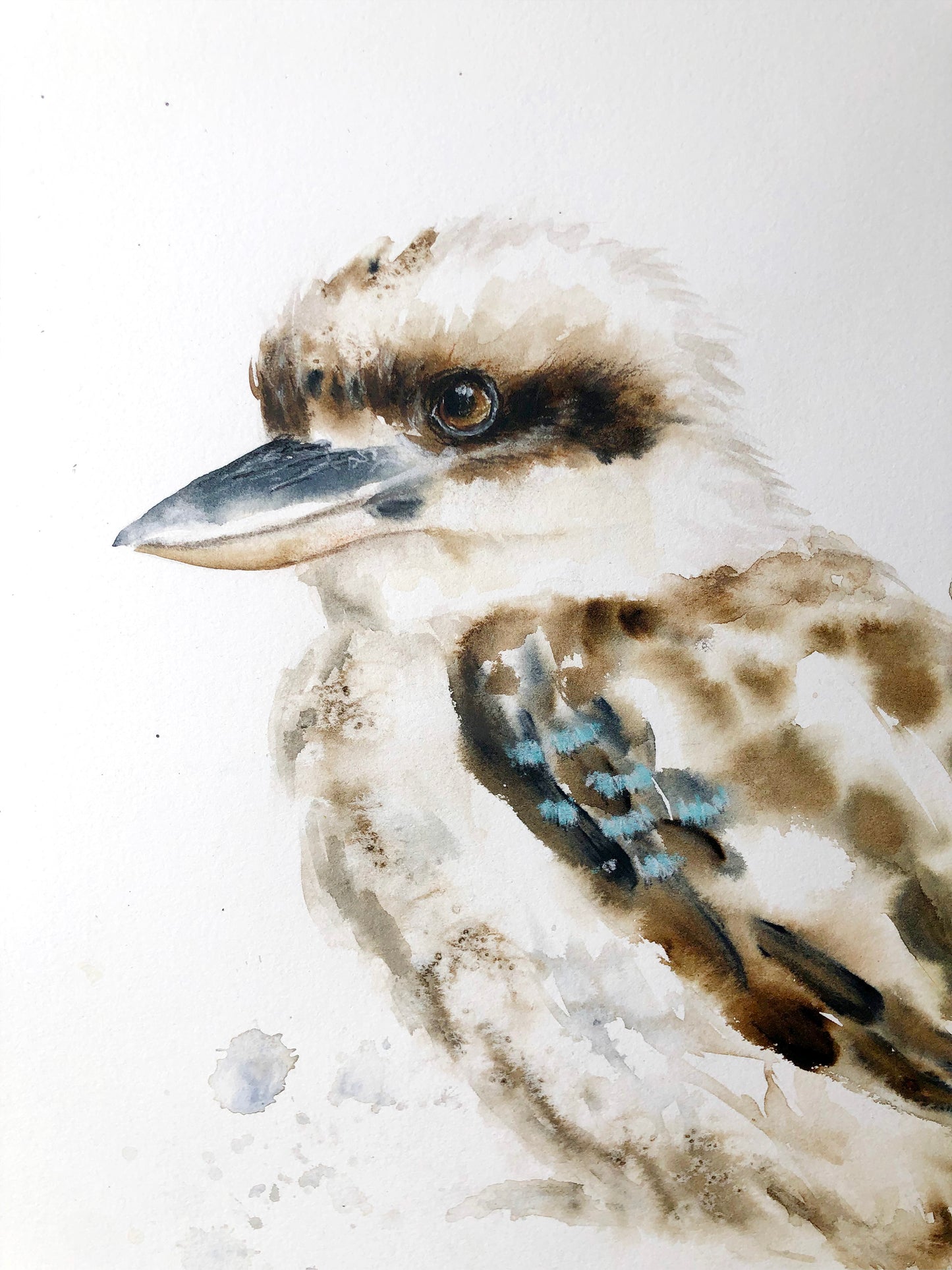 Kookaburra #5 - 15 x 18"