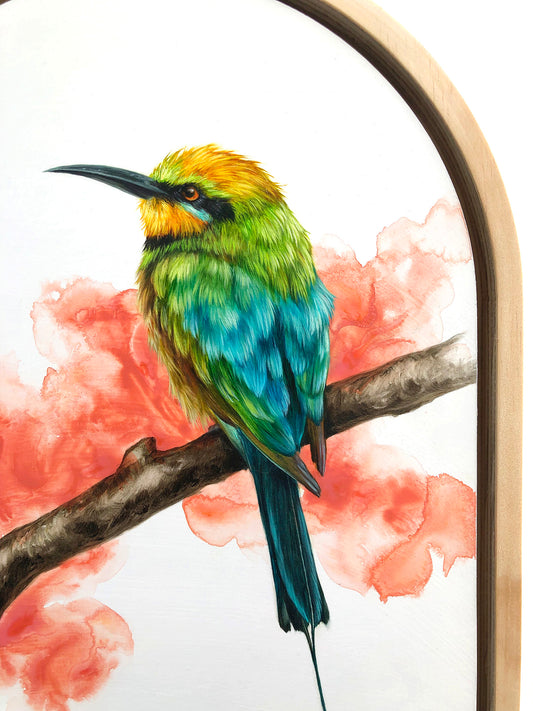 "Rainbow Bee-eater" - "9x11"
