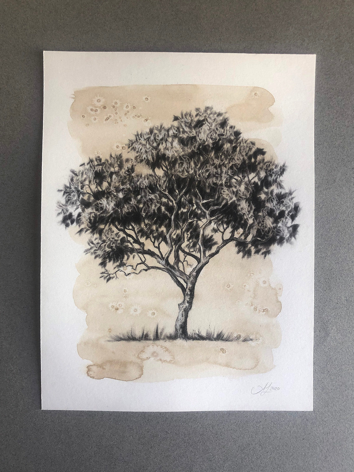 Tree 25/100