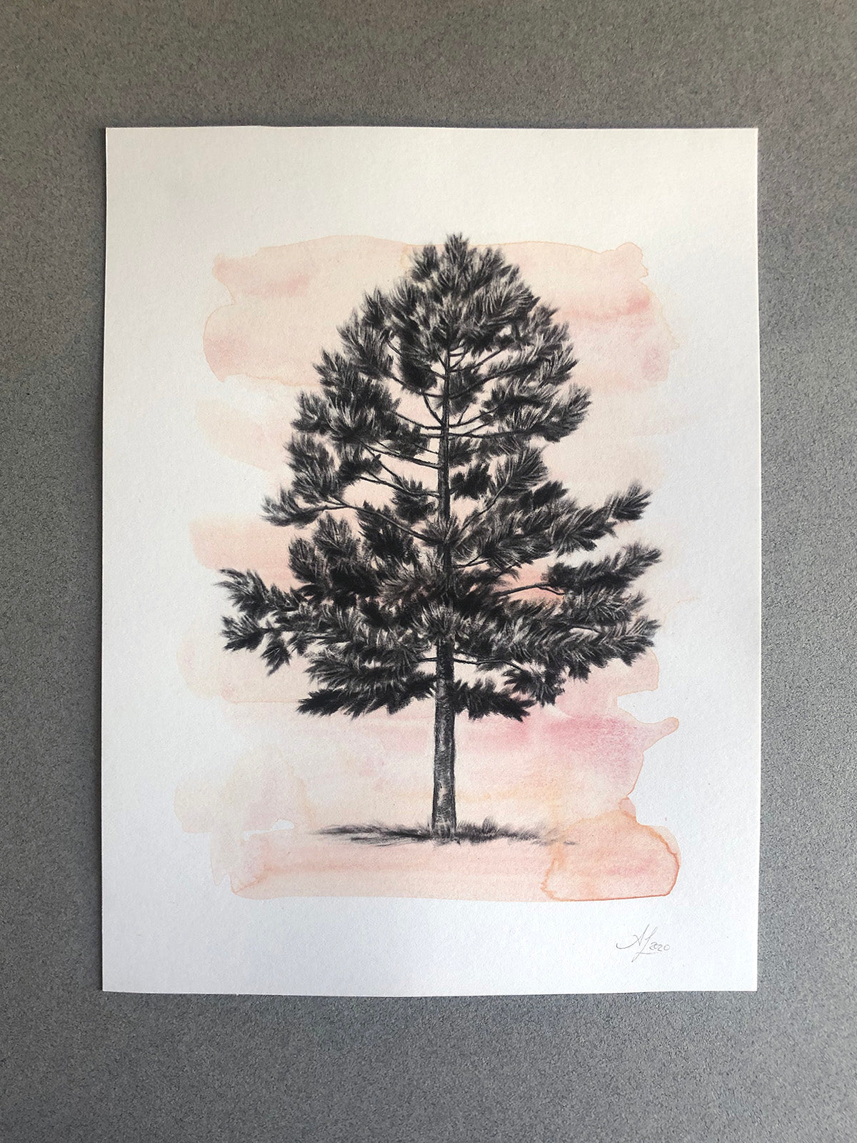 Tree 26/100