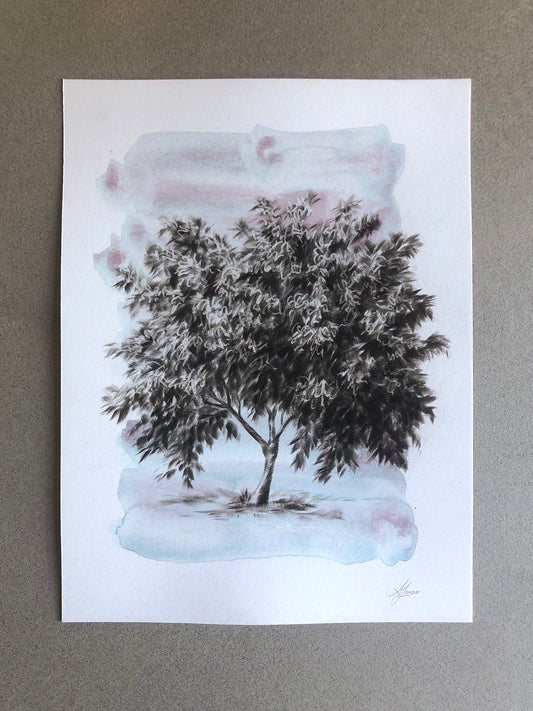 Tree 27/100