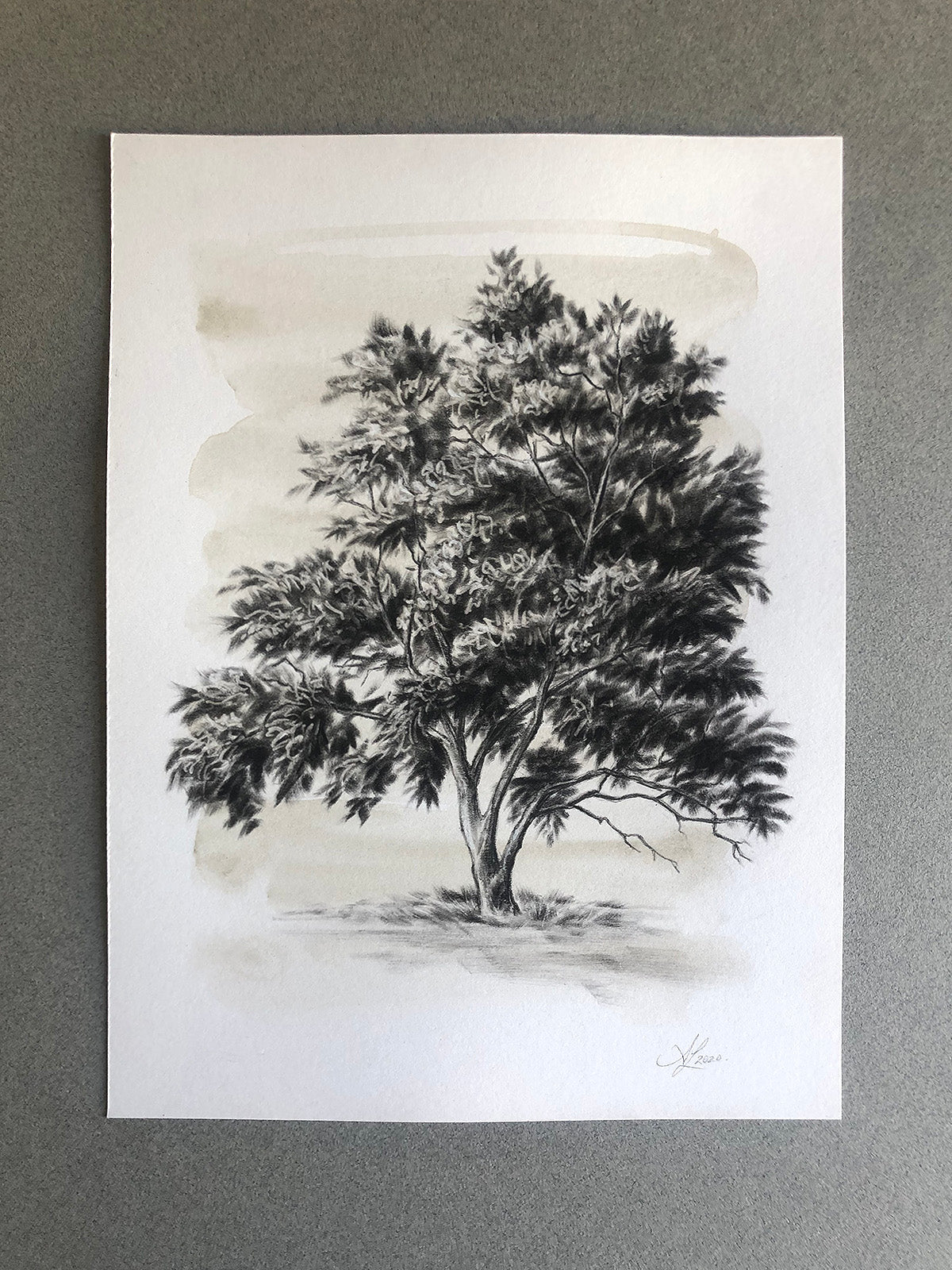 Tree 28/100