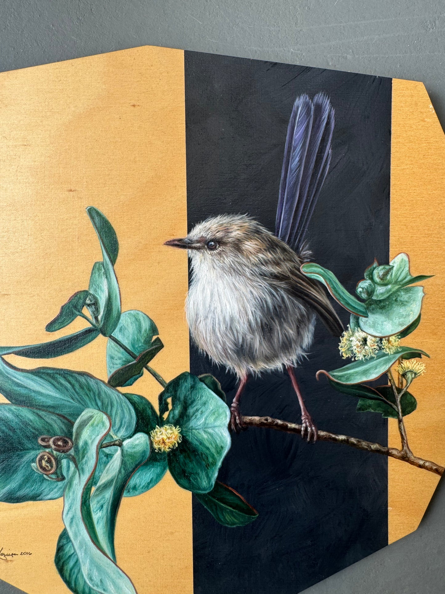 Fairywren on Eucalyptus - 11.75 x 10.5"