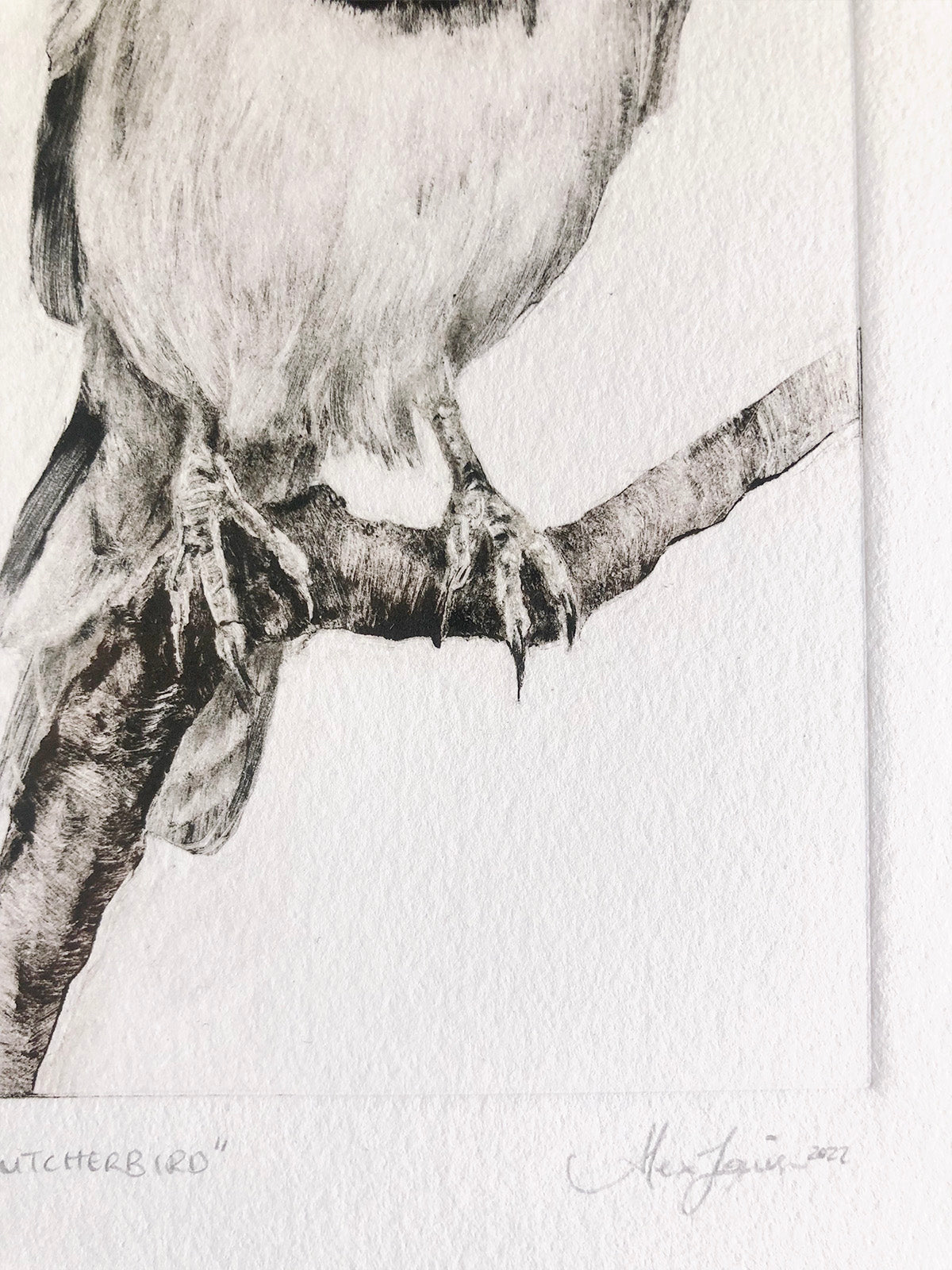Butcherbird - Original Monotype