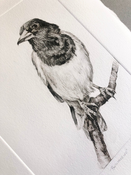 Butcherbird - Original Monotype