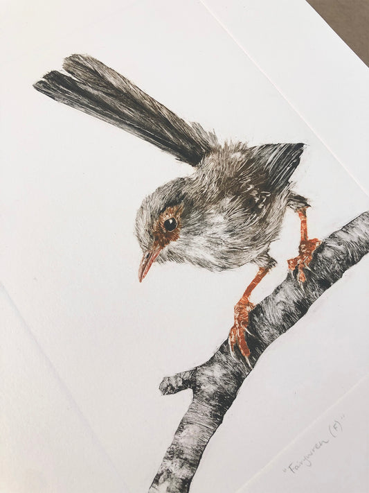 Fairywren (F) - Original Monotype