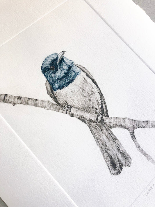 Leaden Flycatcher No. 1 - Original Monotype