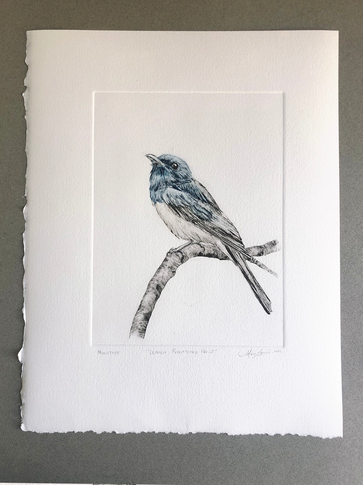 Leaden Flycatcher No. 2 - Original Monotype