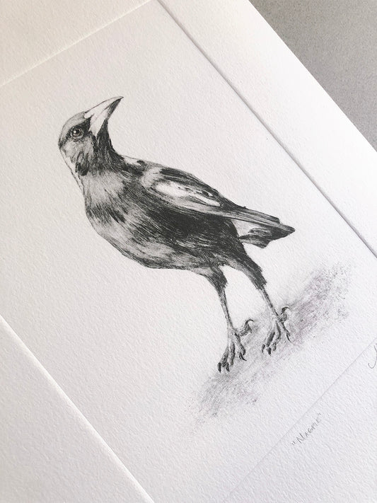 Magpie - Original Monotype