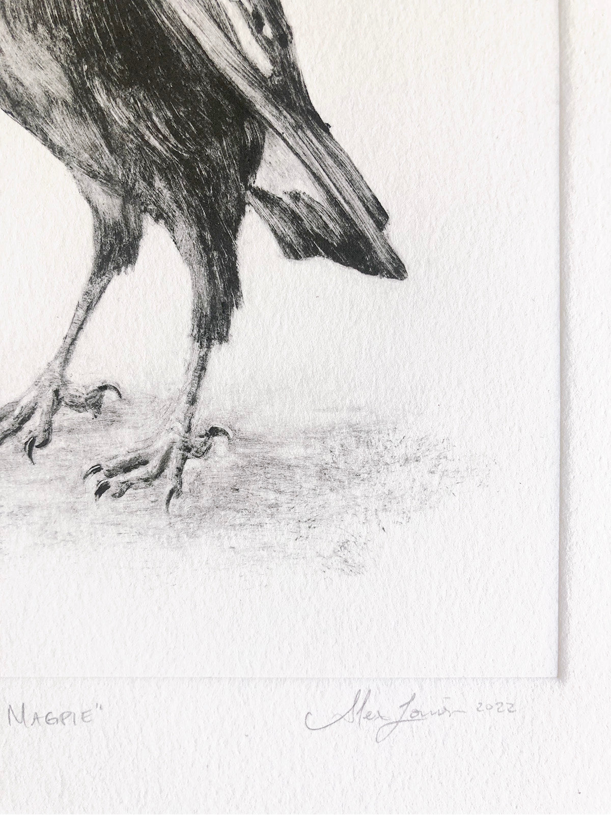 Magpie - Original Monotype