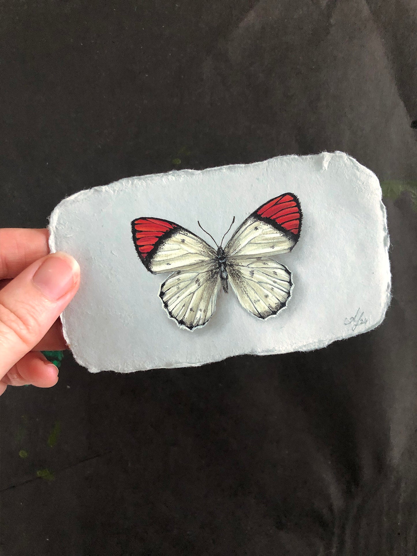 Butterfly on Handmade Paper #1 - 4.5 x 2.5"