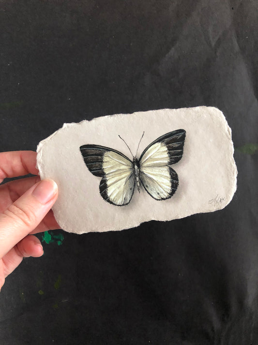 Butterfly on Handmade Paper #2 - 4.5 x 2.5"