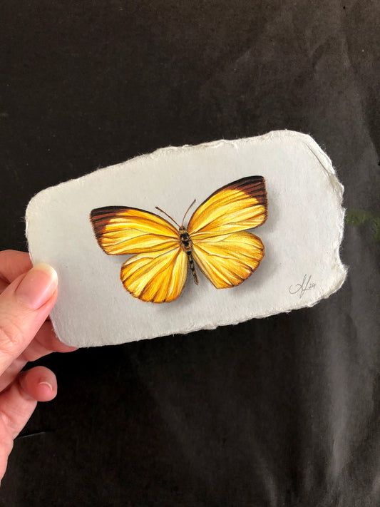 Butterfly on Handmade Paper #5 - 4.5 x 2.5"