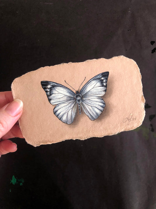 Butterfly on Handmade Paper #7 - 4.5 x 2.5"