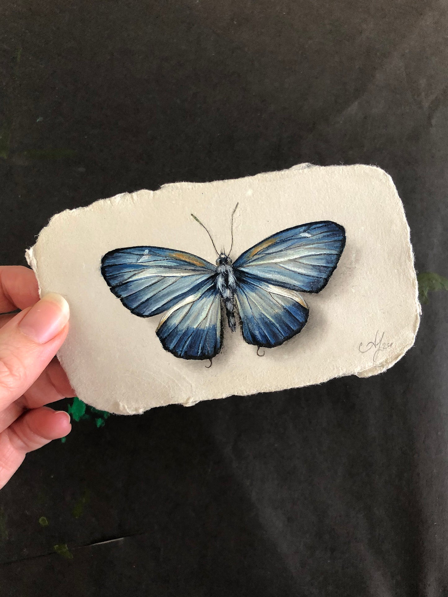 Butterfly on Handmade Paper #8 - 4.5 x 2.5"