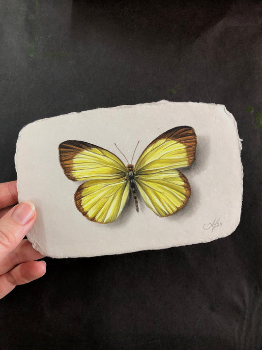 Butterfly on Handmade Paper #9 - 5.5 x 3.5"
