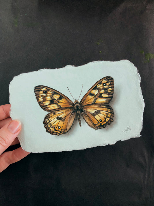 Butterfly on Handmade Paper #10 - 5.5 x 3.5"
