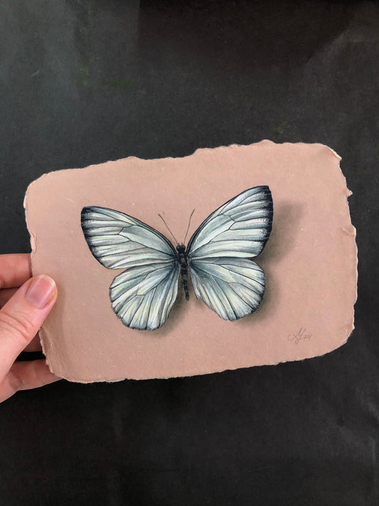 Butterfly on Handmade Paper #11 - 5.75 x 4"