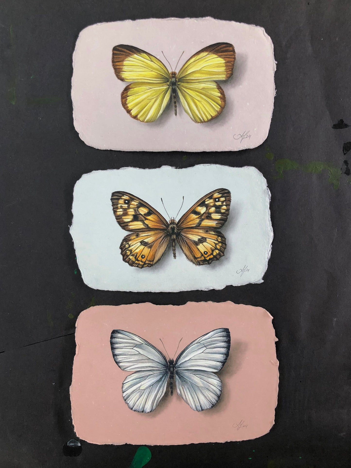 Butterfly on Handmade Paper #9 - 5.5 x 3.5"