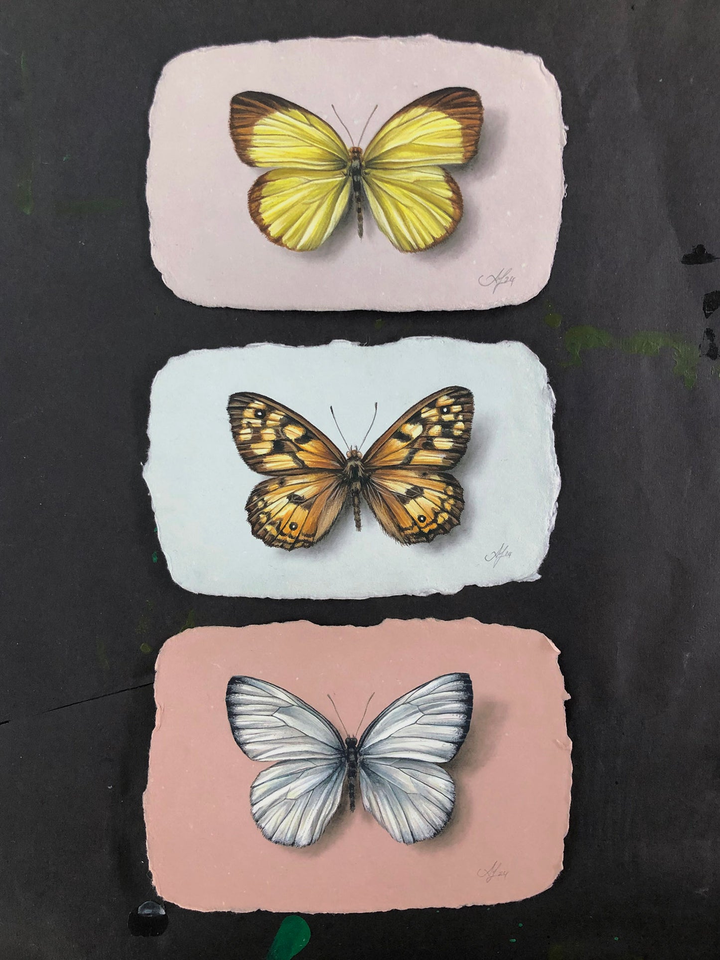 Butterfly on Handmade Paper #10 - 5.5 x 3.5"