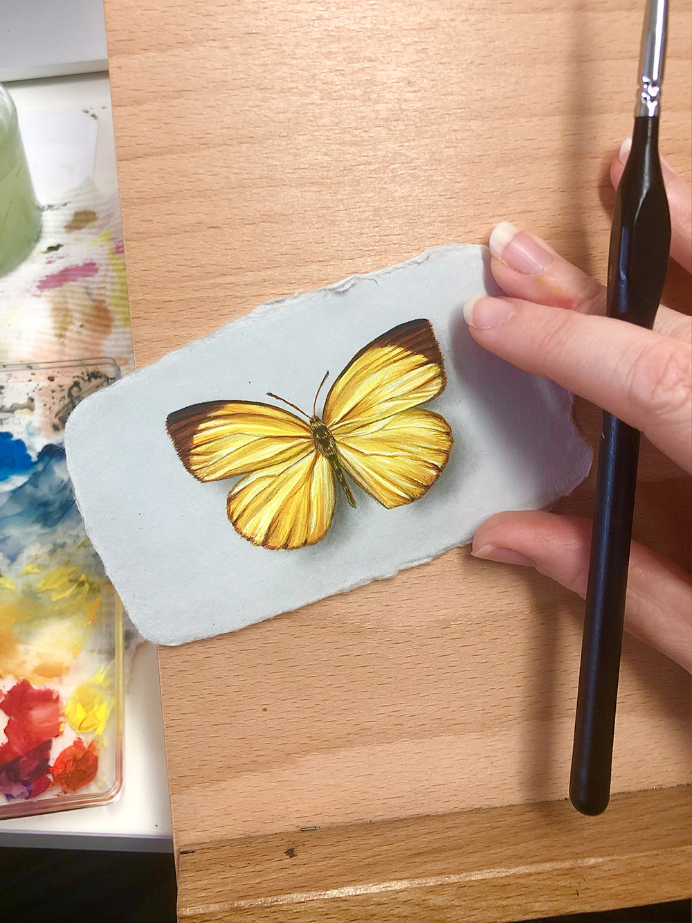 How to: Paint a Butterfly in Gouache