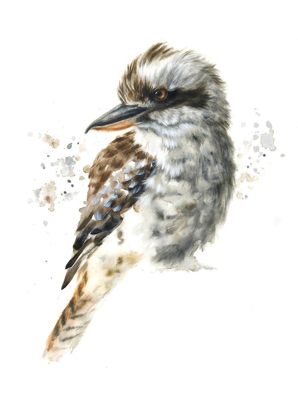 Watercolour Kookaburra Painting Workshop