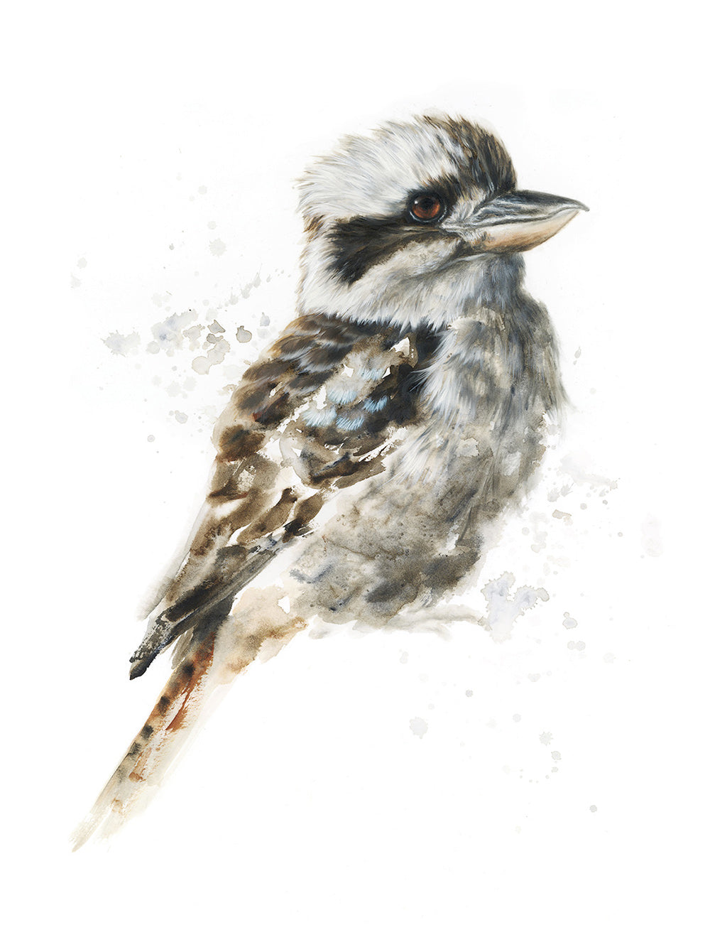 Watercolour Kookaburra Painting Workshop