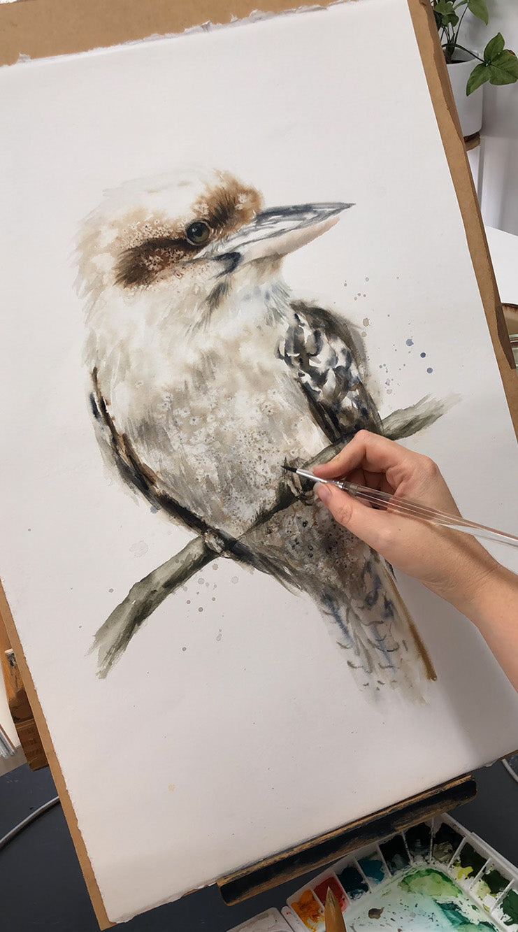 Watercolour Kookaburra Painting Workshop