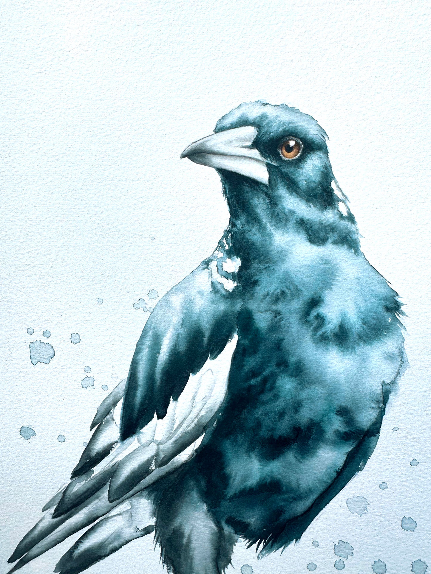 Magpie Looking Left - 15 x 20"