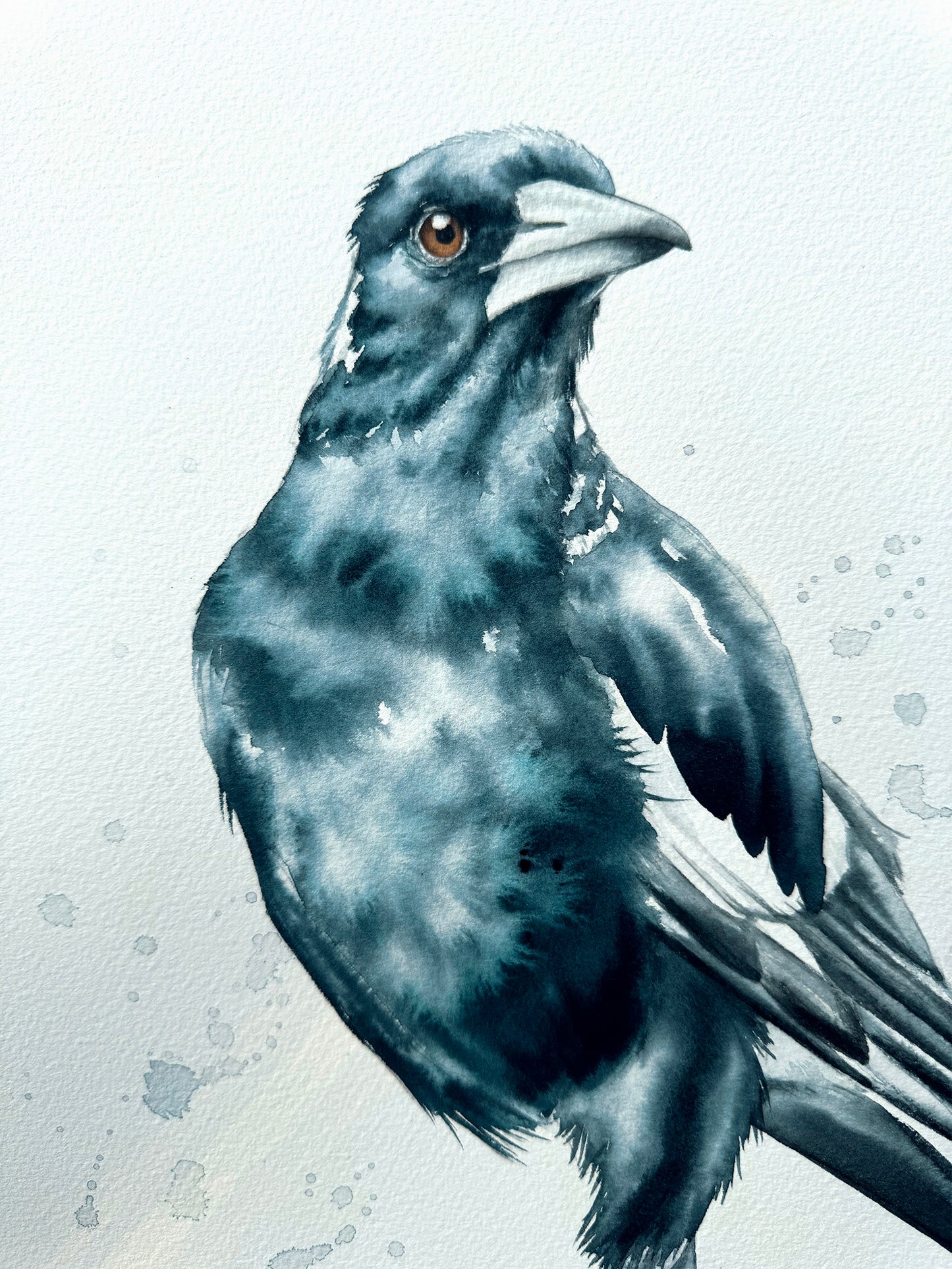 Magpie Looking Right - 15 x 20"