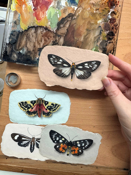 Moth on Handmade Paper #3 - 4.5 x 2.75"