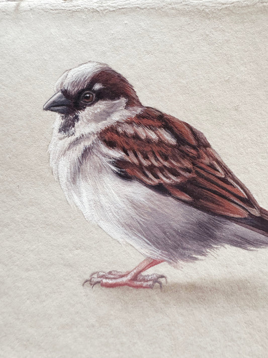 Cafe Sparrow #6 - 6.5 x 4.5"