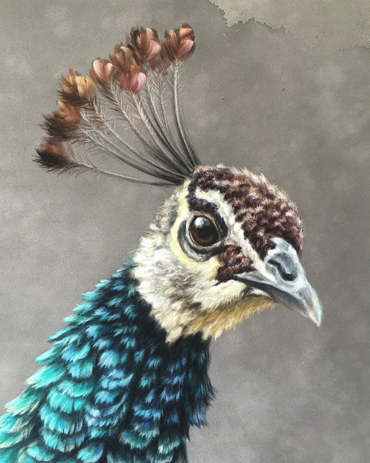 Peahen - 20 x 28"