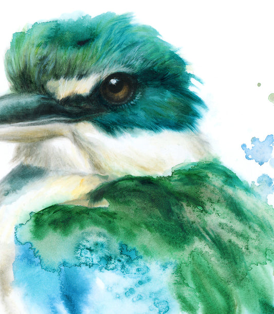 Sacred Kingisher - 16 x 20"