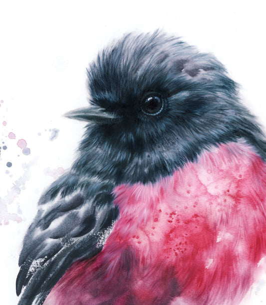 Pink Robin - 16 x 20"