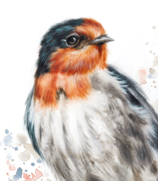 Welcome Swallow - 16 x 20"