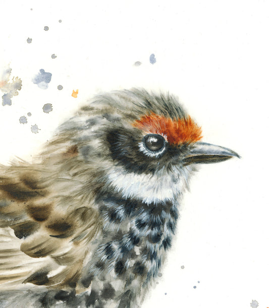 Rufous Fantail - 16 x 20"